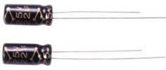 P19 LL BIG.jpg (12839 bytes)